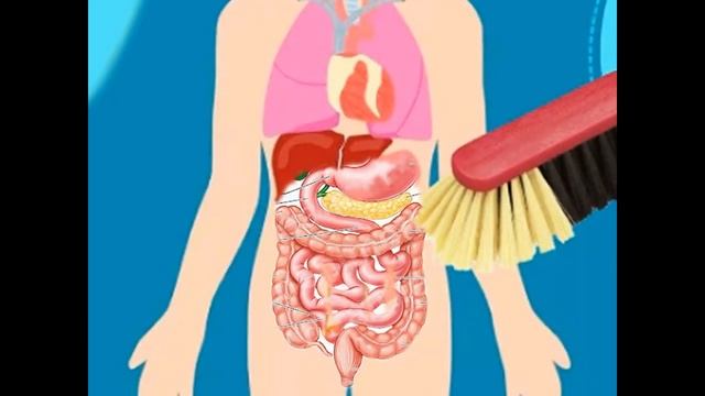 Выпивая всего один стакан, паразиты уйдут и прибавится много сил смотреть онлайн