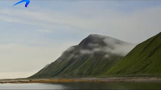 командорский заповедник 2015 смотреть онлайн