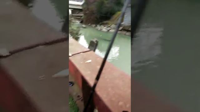 форель в лоо смотреть онлайн