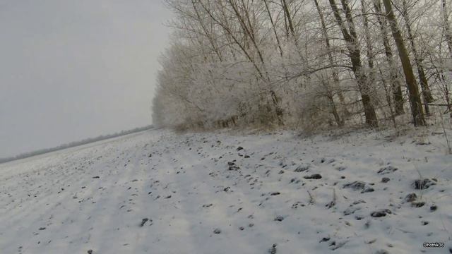 Охота на зайца сезон 2022-2023.Часть третья. смотреть онлайн