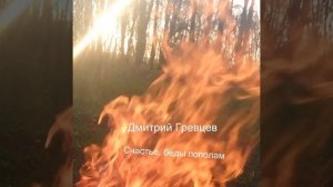 Дмитрий Гревцев - Счастье, беды пополам