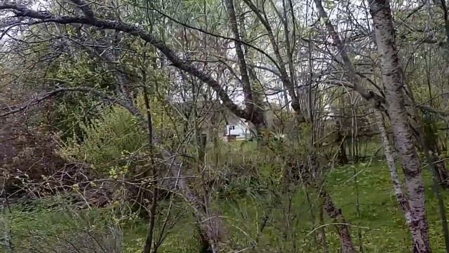 Поют птицы весной смотреть онлайн