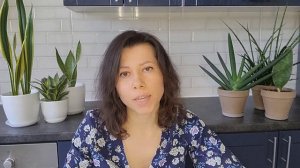 Субстрат Лечуза Пон (Lechuza Pon). Мой опыт выращивания сансевиерий в субстрате Лечузе Пон.