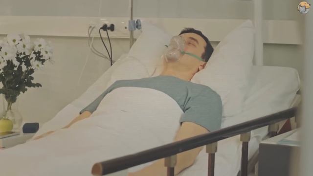 Собака продолжала лаять на гроб своего хозяина. Открыв его, люди закричали от ужаса. смотреть онлайн