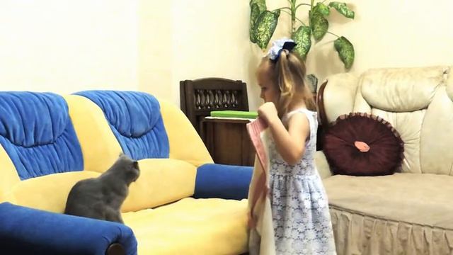 Превращение кошки смотреть онлайн