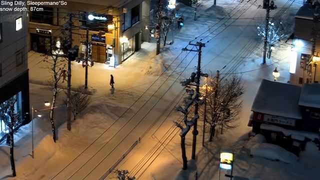 Snowfall In Sapporo, Lofi Radio 12 Hours | February 23, 2024