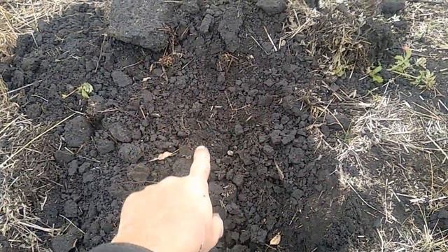 Незапланированный коп. Пока кто то ищет грибы я копаю железо!