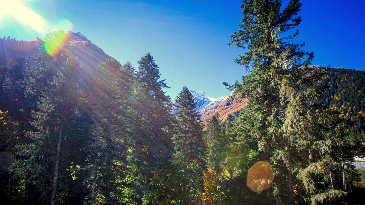 Интуитивное прозрение. Начало созидательной деятельности.