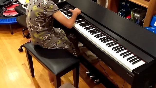 ROLAND F-120 смотреть онлайн