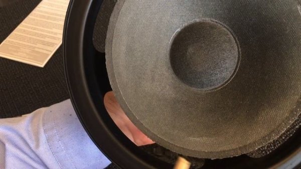 Bang & Olufsen Beovox S45 speaker re-foaming