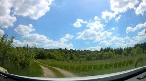 Село Дмитриевка , Хохольский район,  Воронежская область 10.06.2022 год