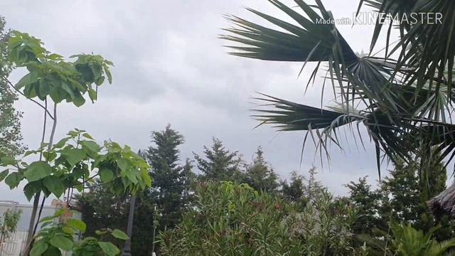 НЕВЕСТКА выгнала СВЕКРОВЬ на улицу||| правах на НАСЛЕДСТВО/ шокирующая правда!!! смотреть онлайн