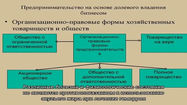 Виды и свойства свечей от геморроя с акульим жиром