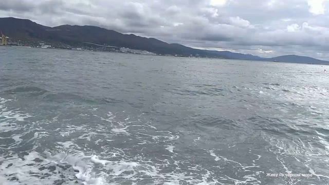 НОВОРОССИЙСК ОТДЫХ ПЛЯЖ МОРЕ ШТОРМИТ ЗАКАЛЁННЫЕ КУПАЮТСЯ 23.10.2022.( ЖИВУ НА ЧЁРНОМ МОРЕ) смотреть онлайн
