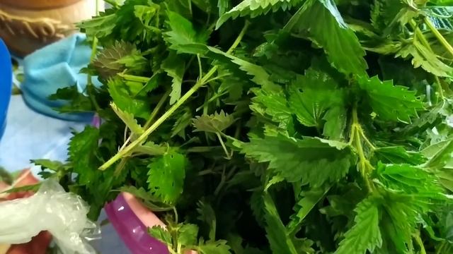 Заморозила щавель, посолила крапиву? смотреть онлайн