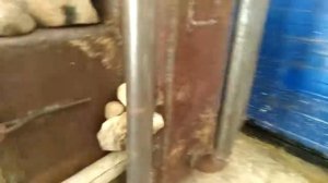 Банная печь . Новое слово в печных технологиях. Печь с дожигом газов.