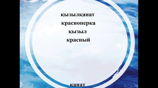 63. Раз словечко, два словечко. Словарик 63 смотреть онлайн