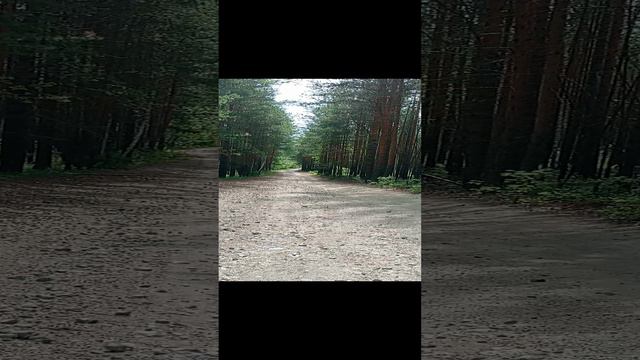 Дорога наЧëртово Городище.mp4 смотреть онлайн