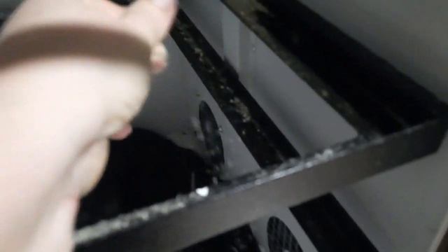 Результат инкубации меня порадовал. Первый вывод перепелов в инкубаторе BEST 500 смотреть онлайн