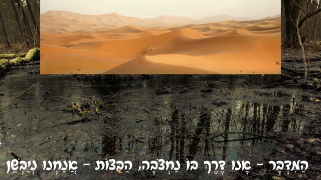 הורה גרוב - שיר בוקר - מילים - נתן אלתרמן, לחן - דניאל סמבורסקי смотреть онлайн