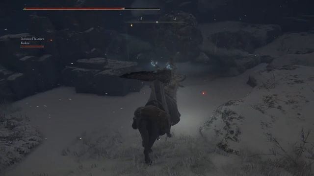 Элден ринг в коопе, день 20)))