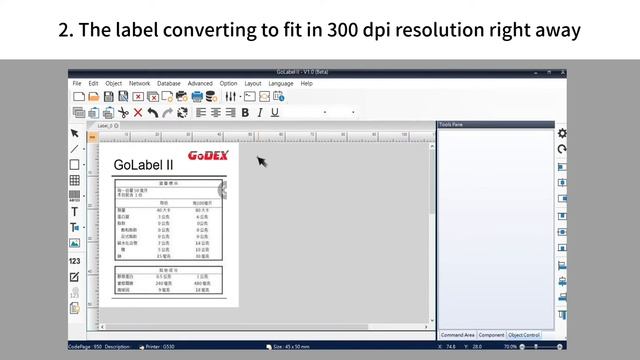 GoLabel II - Label converting in different resolutions смотреть онлайн