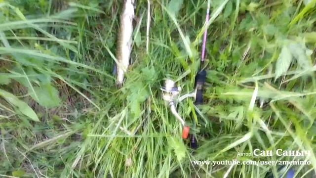 Шнурок и мелкие окуня в плохую погоду смотреть онлайн