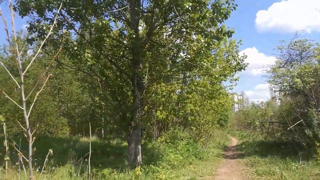 Солнцево за Парк. Соловей поёт. смотреть онлайн