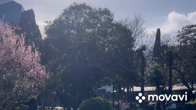 Расслабляющий вид моря и весенних цветов смотреть онлайн