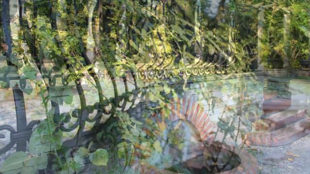 Ogród Botaniczny w Warszawie смотреть онлайн