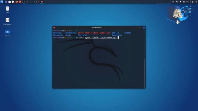 How to install Ngrok смотреть онлайн