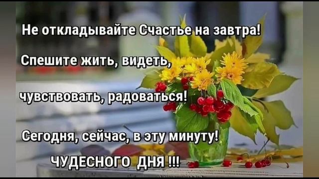 мир декупажа.