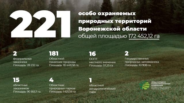 Анимация сладов в PowerPoint. Воронежские заповедники смотреть онлайн