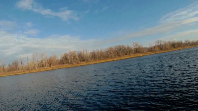 Ловля окуня осенью на спиннинг в ноябре 2017. Отводной поводок смотреть онлайн