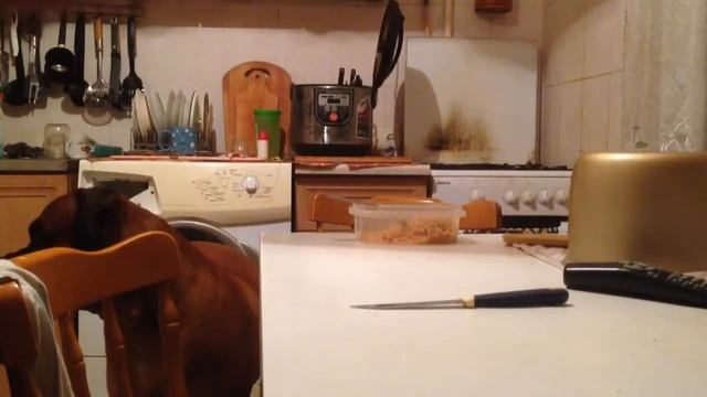 ASMR || КУШАЮ СПАГЕТТИ В КИСЛО-СЛАДКОМ СОУСЕ смотреть онлайн