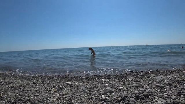 АДЛЕР ГРИБЫ ТРЮФЕЛИ.. смотреть онлайн