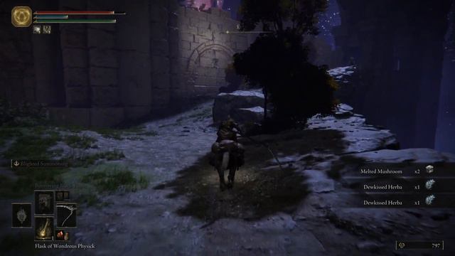 THE RANNI QUESTLINE! Elden Ring Convergence Mod Playthrough (Part 7)