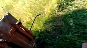 Т-16 косит сегментной косилкой