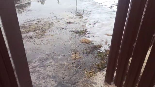 Весеннее половодье 🏄♂️ смотреть онлайн