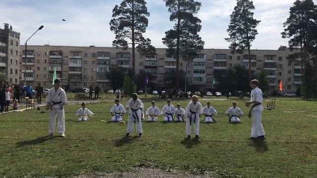 Спорт - выбор сильных. Киокушинкай карате наш выбор!Показательные выступления на Дне физкультурника смотреть онлайн