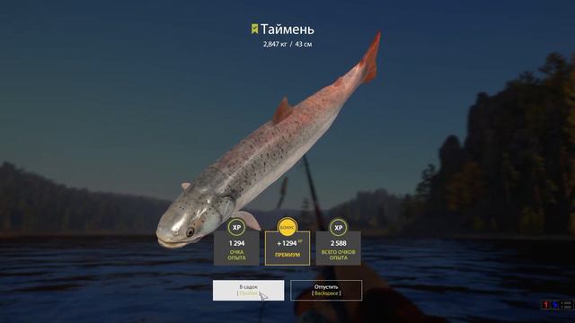 РР4. Отличная точка на Тайменя на реке Нижняя Тунгуска! Шанс на Трофей! смотреть онлайн