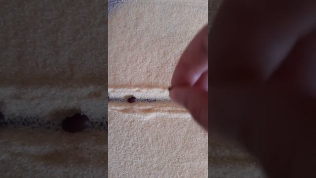 Как научить ребёнка видеть строку смотреть онлайн