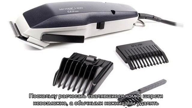 Как подстричь собаку в домашних условиях смотреть онлайн