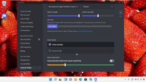 Микрофон не работает в Discord Windows 11 - Исправить