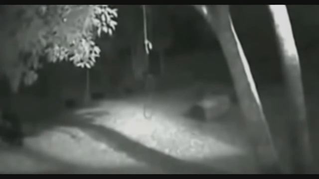 Бразильский оборотень Дело №77 смотреть онлайн