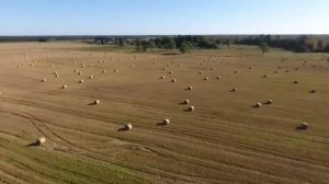 Ленинград — Гамаюн