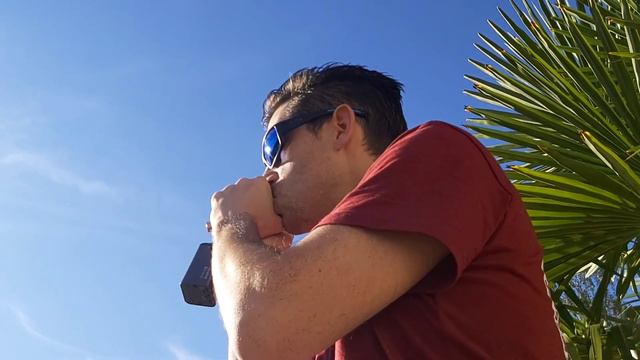 Palm Tree Blues Harmonica - Ben Toury смотреть онлайн