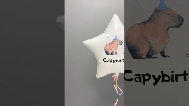 Капибара! Шарики на день рождение с самым мемным животным #birthday #balloon #capibara смотреть онлайн