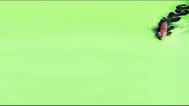 Кухня : ниши и ништяки 