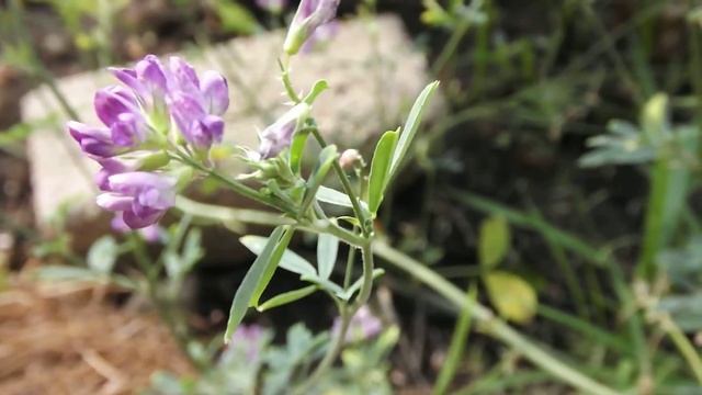 Fujifilm finepix s3400 video test смотреть онлайн